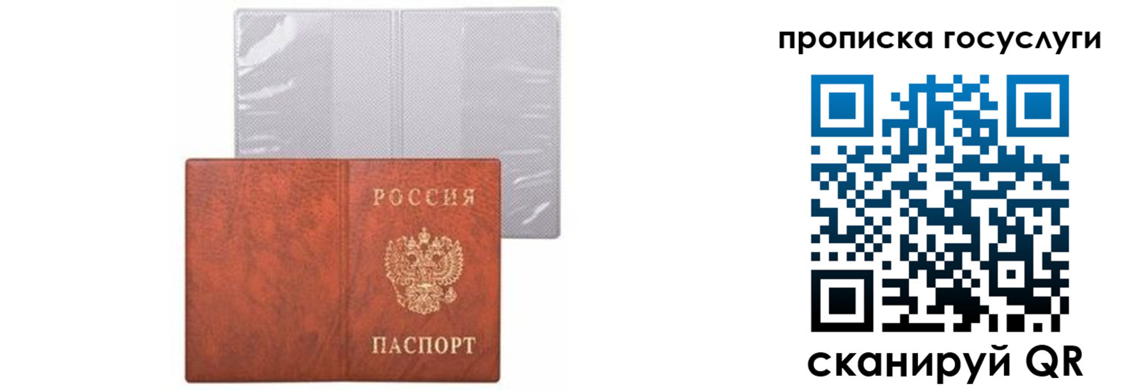 прописка 2025 в Люберцах